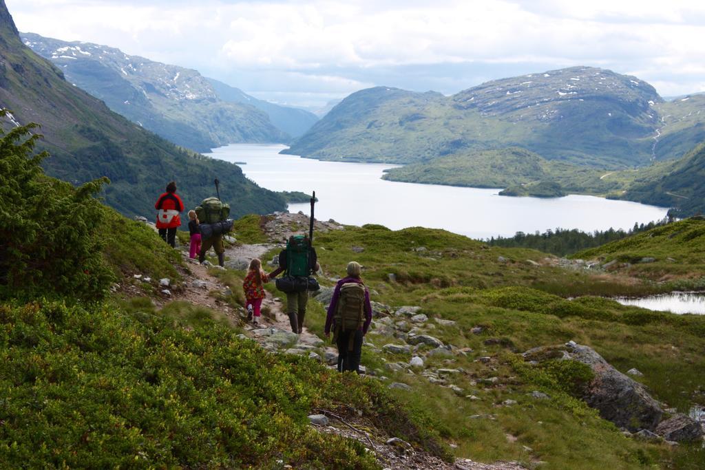 Skysstasjonen Cottages Røldal Екстериор снимка