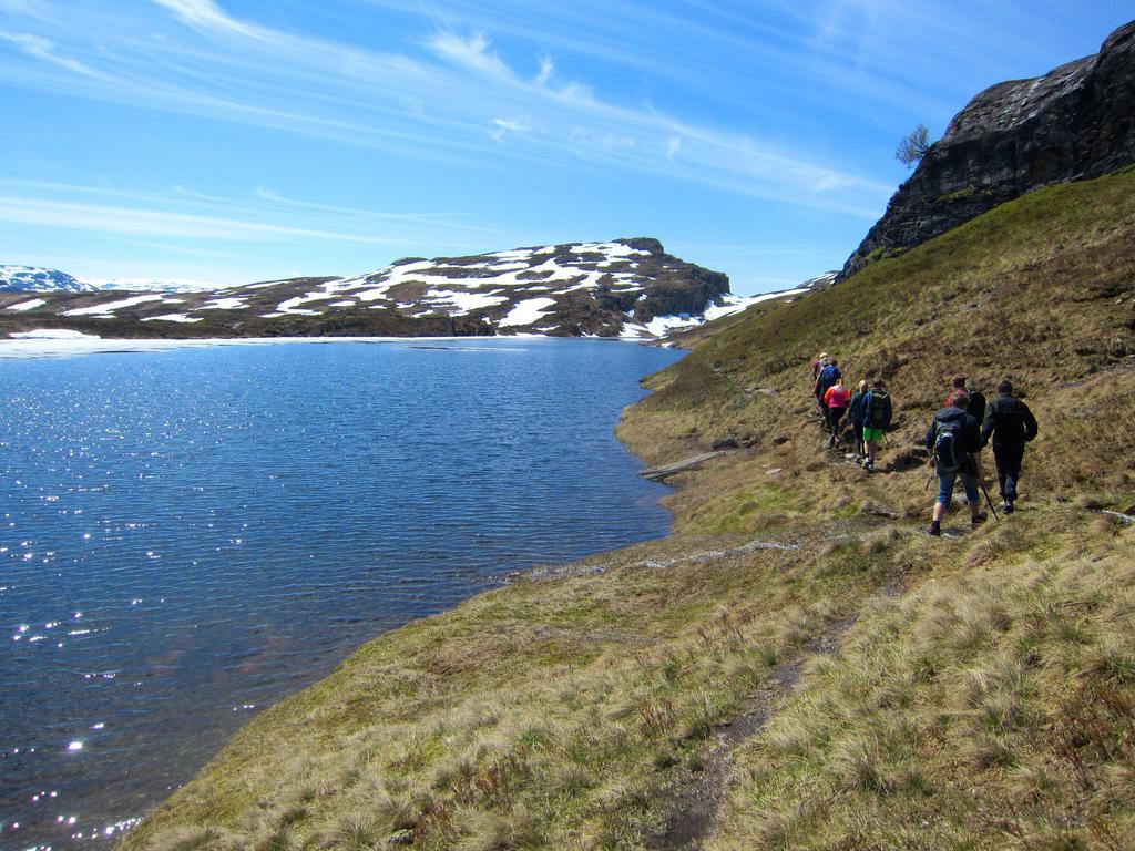 Skysstasjonen Cottages Røldal Екстериор снимка