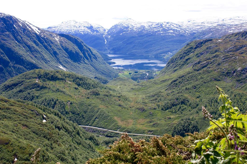 Skysstasjonen Cottages Røldal Екстериор снимка