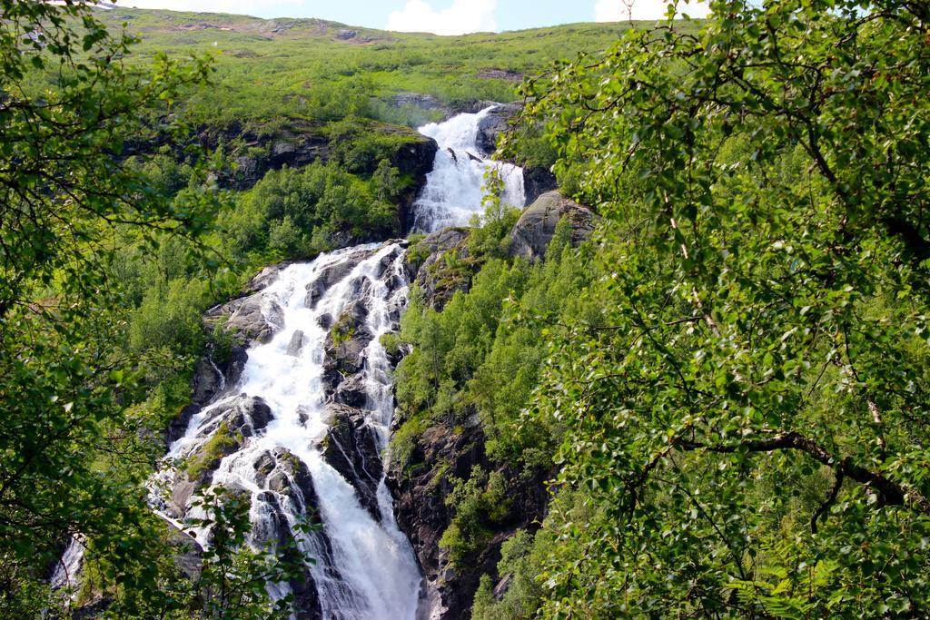 Skysstasjonen Cottages Røldal Екстериор снимка