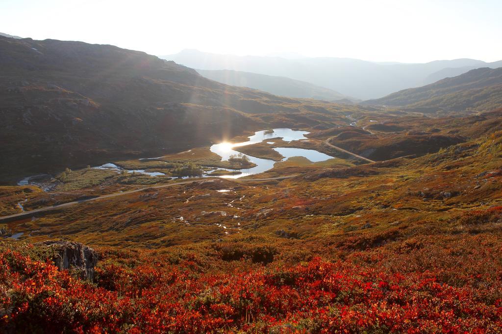 Skysstasjonen Cottages Røldal Екстериор снимка